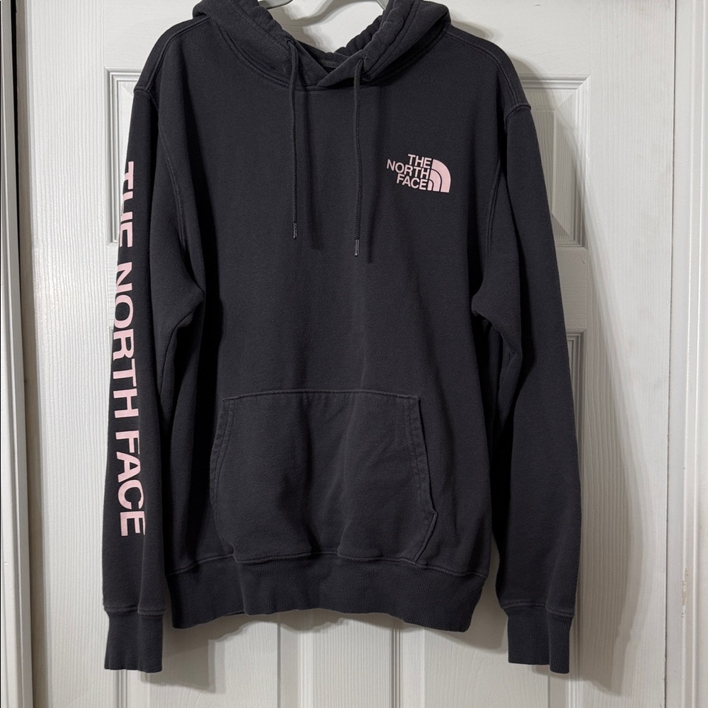 The North Face Gray and Pink Men's Hoodie - Size Large